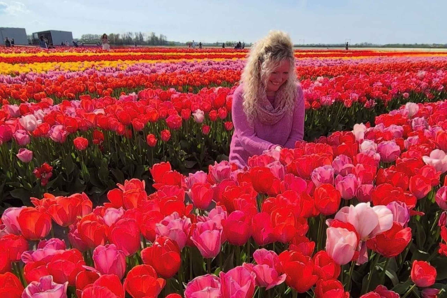 アムステルダム発：チューリップ畑体験 – The Tulip Barnへようこそ