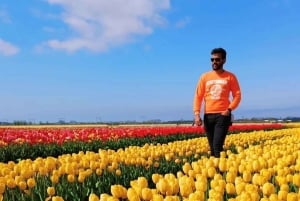 アムステルダム発：チューリップ畑体験 – The Tulip Barnへようこそ