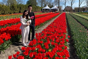 From Amsterdam: Tulip Fields and Windmill Tour with Lunch