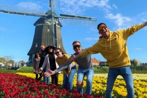 Amsterdam: Tulip Fields Day Tour with Lunch & Windmill