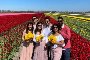 Amsterdam: Tulip Fields Day Tour with Lunch & Windmill