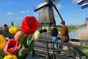 Amsterdam: Tulip Fields Day Tour with Lunch & Windmill