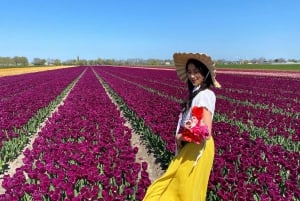 Amsterdam: Tulip Fields Day Tour with Lunch & Windmill