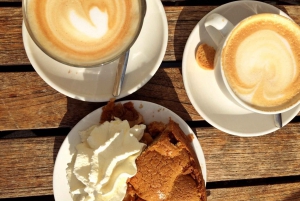 From Amsterdam: Tulip Fields of Holland Tour