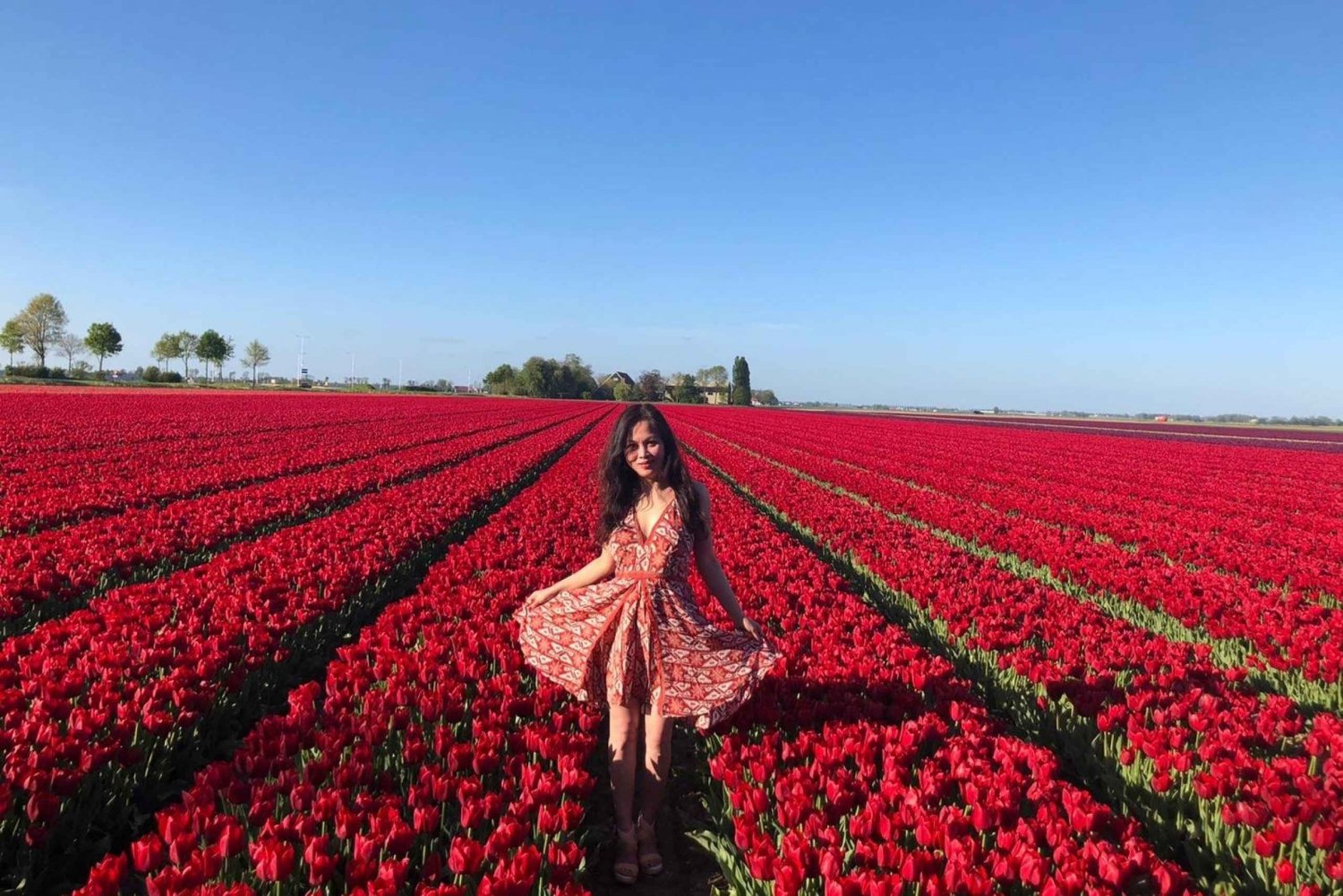 Au départ d'Amsterdam : Visite des tulipes à Keukenhof et visite de la ville de Delft