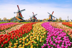 From Amsterdam: Villages and Windmills, and Panoramic Tour