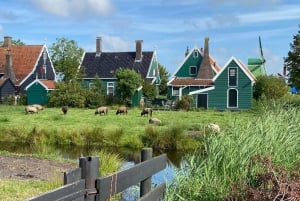 From Amsterdam: visit Zaanse Schans, Muiderslot and more!