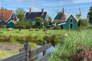 Vanuit Amsterdam: bezoek de Zaanse Schans, het Muiderslot en meer!
