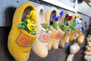 Z Amsterdamu: Wiatraki Zaanse Schans Tour po hiszpańsku