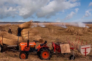 Vanuit Amsterdam: Zaanse Schans en Giethoorn Plattelandstocht