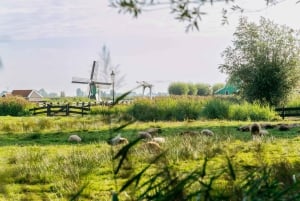 From Amsterdam: Zaanse Schans, Edam, & Marken Full-Day Trip