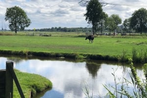 From Amsterdam: Zaanse Schans Windmills & More - E-Bike Tour