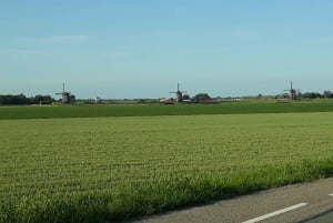 Från Amsterdam: Privat tur till väderkvarnarna i Zaanse Schans