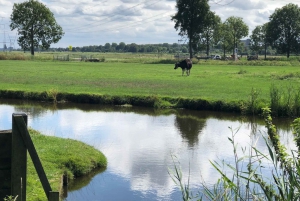 From Amsterdam: Zaanse Schans & Zaandam E-Bike Tour