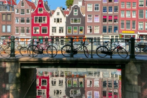 Fra Brussel: Dagstur til Amsterdam med ost, tresko og vindmøller