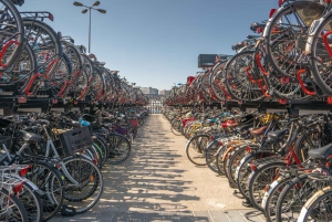From Brussels: Day Trip to Amsterdam