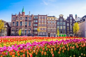 From Brussels: Day Trip to Amsterdam with Canal Boat Cruise