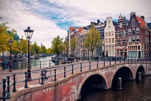 From Brussels: Day Trip to Amsterdam with Canal Boat Cruise