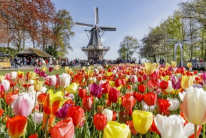 From Amsterdam: Keukenhof, Countryside Tour & 1 Attraction