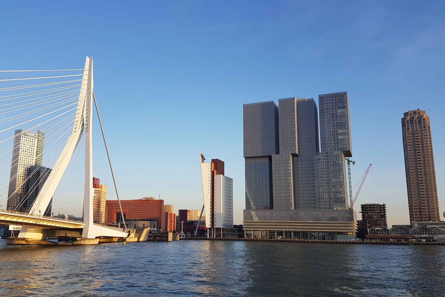 From Amsterdam: Rotterdam and Kinderdijk Private Day Trip