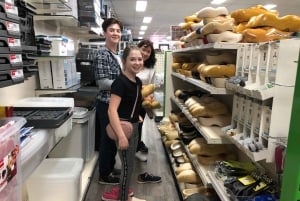 Tour Giethoorm & Explorando o Norte dos Países Baixos