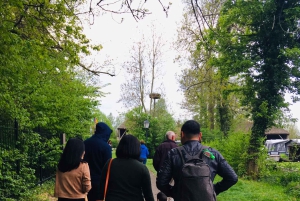 Giethoorn: Private Day Trip with Boat Tour from Amsterdam