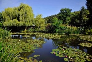 Giethoorn: Private Day Trip with Boat Tour from Amsterdam