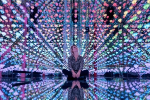 Go City Amsterdam Pass: Attractions Pass with Rijksmuseum