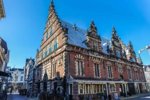 Haarlem: Small Group City Walking Tour