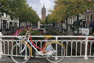 Holland Four City Charm Tour - Private Day Tour