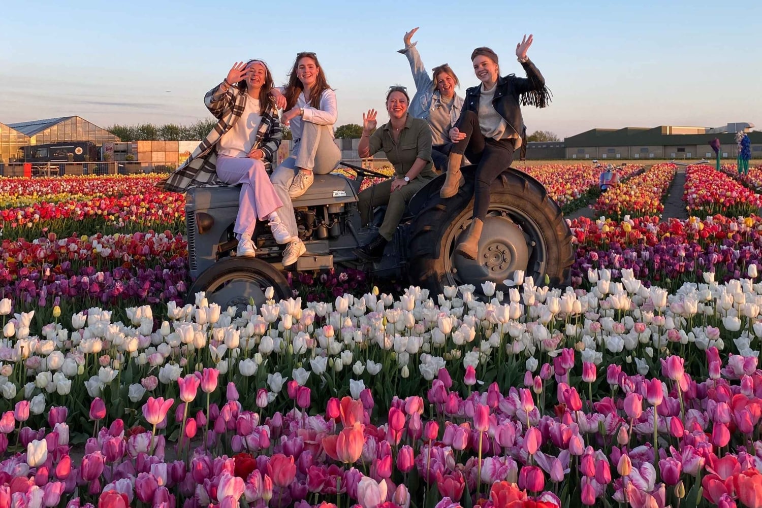 Hollannin valokuvakierros – tuulimyllyt, tulppaanit ja näkymät – pienryhmä