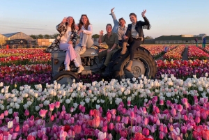 Hollannin valokuvakierros – tuulimyllyt, tulppaanit ja näkymät – pienryhmä