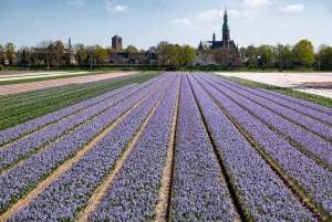 Hollannin valokuvakierros – tuulimyllyt, tulppaanit ja näkymät – pienryhmä