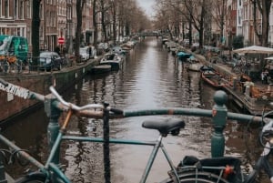 Amsterdam Jordaan Tour en italien (Maison d'Anne Frank)