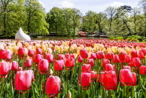 Keukenhof: Bulb Farm Full-Day Tour