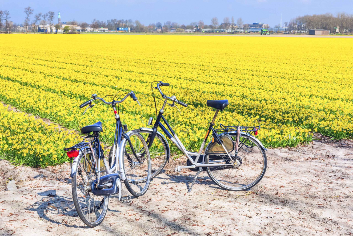 Keukenhof: Flower Fields Small-Group Cultural Bike Tour