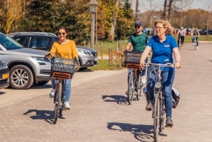 Keukenhof: Tour culturale in bicicletta per piccoli gruppi dei campi di fiori