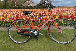 Keukenhof: Flower Fields Small-Group Cultural Bike Tour