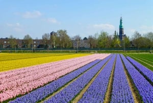 Keukenhof: Kukkapellot Pienryhmäinen kulttuuripyöräretki