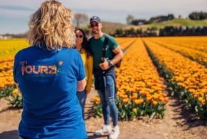 Keukenhof: Kukkapellot Pienryhmäinen kulttuuripyöräretki