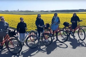 Keukenhof: Kukkapellot Pienryhmäinen kulttuuripyöräretki