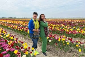 Keukenhof, Tulip Farm, Flower Fields & Windmills