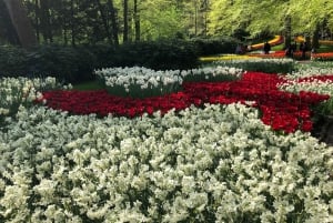 Keukenhof, Tulip Farm, Flower Fields & Windmills