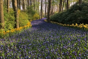 Keukenhof, Tulip Farm, Flower Fields & Windmills