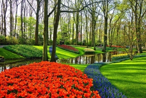 Visite des jardins de Keukenhof et de l'expérience des tulipes au départ d'Amsterdam