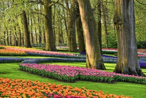 Visite des jardins de Keukenhof et de l'expérience des tulipes au départ d'Amsterdam