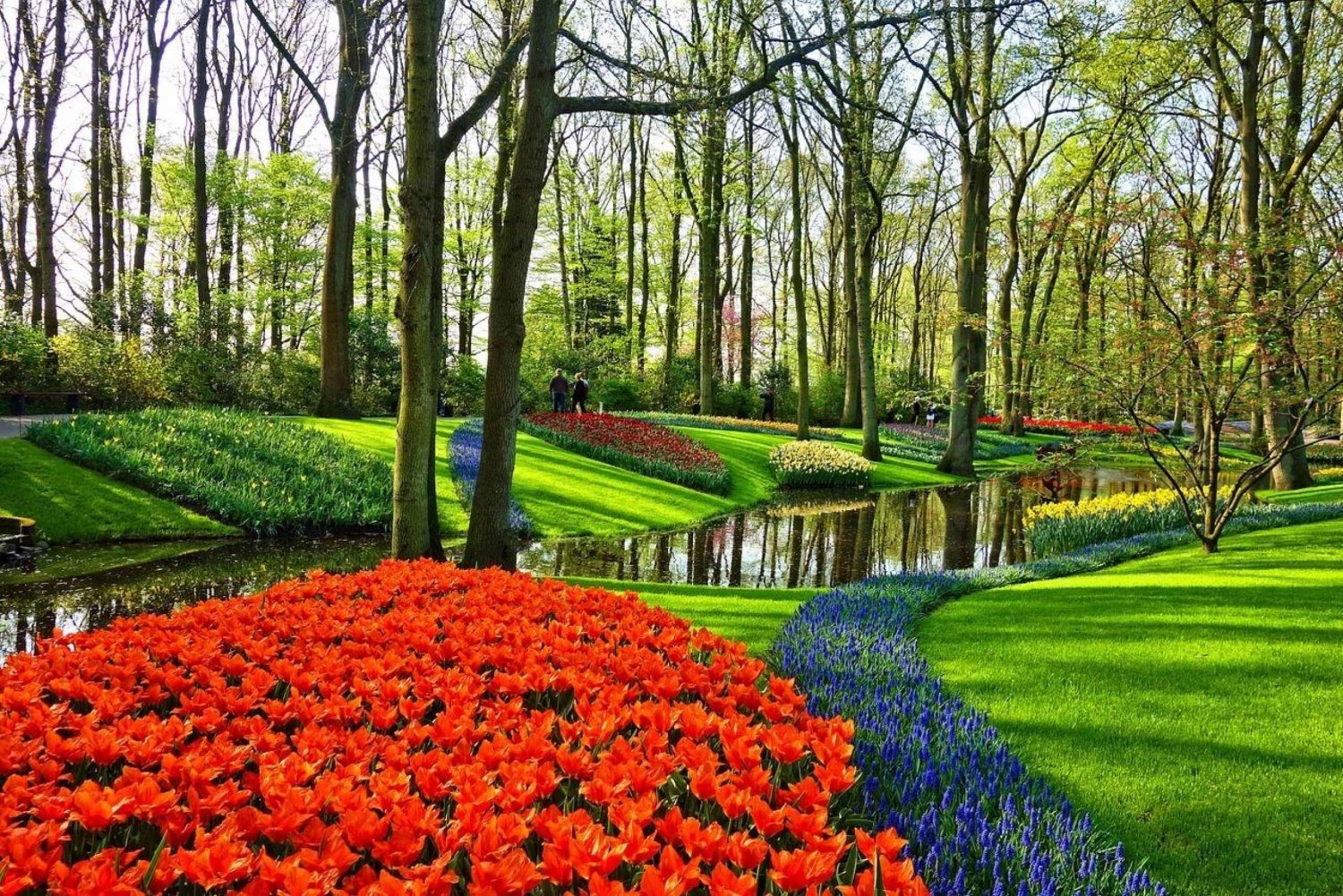 Keukenhofin puutarhat ja tulppaanikokemuskierros Amsterdamista