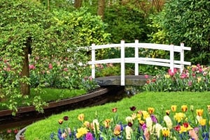 Keukenhof Gardens and Tulip Experience Tour from Amsterdam