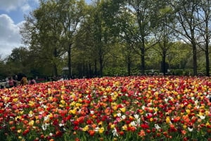 Keukenhof: Private Keukenhof and Free Tulip Tour