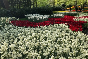 Keukenhof, Tulpenboerderij, Bloemenvelden & Molens